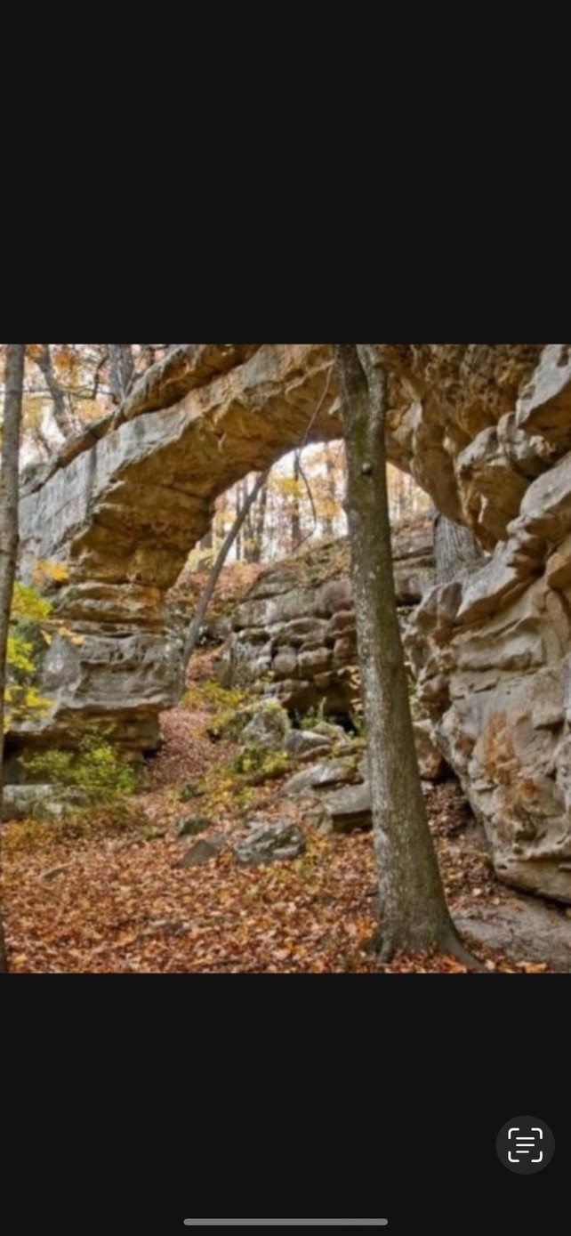 72 Lady Slipper Lane Pelham, TN 37366 - Photo 34 of 41