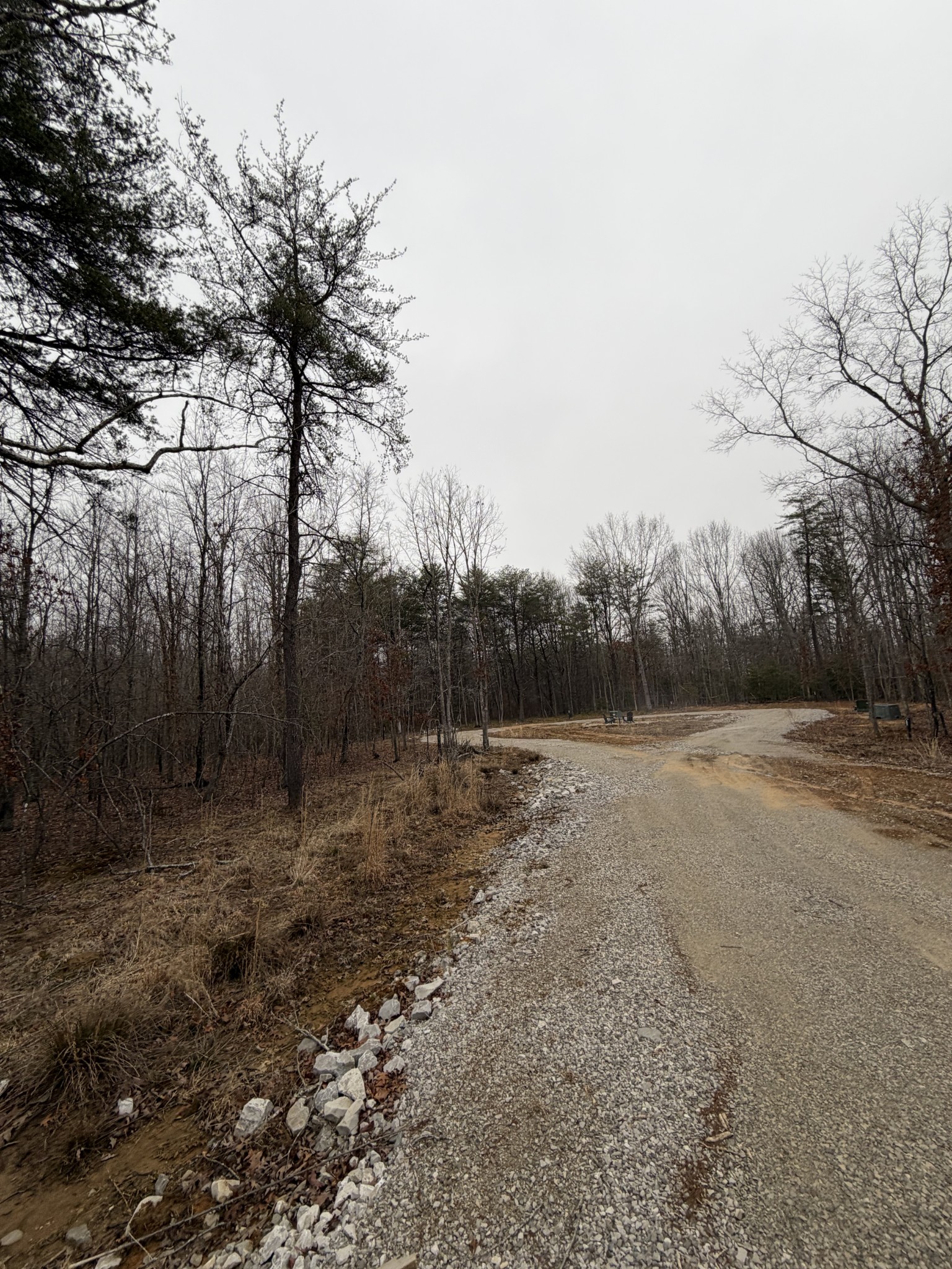 72 Lady Slipper Lane Pelham, TN 37366 - Photo 4 of 41