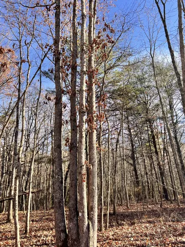 $85,000 | 72 Lady Slipper Lane, Pelham, TN 37366