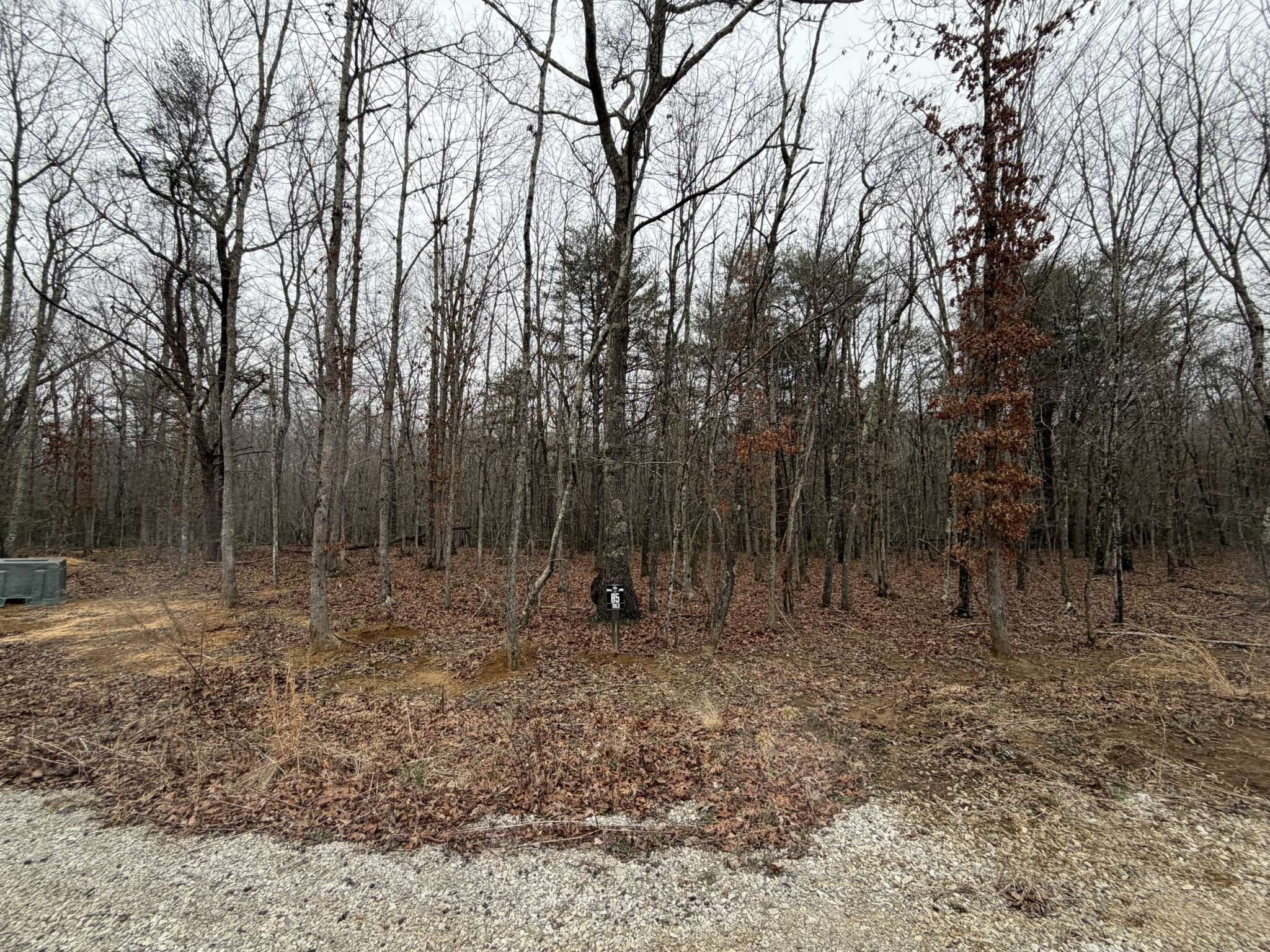 72 Lady Slipper Lane Pelham, TN 37366 - Photo 6 of 41