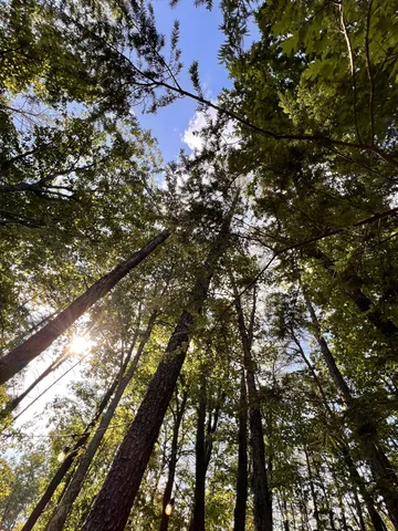 $85,000 | 72 Lady Slipper Lane, Pelham, TN 37366