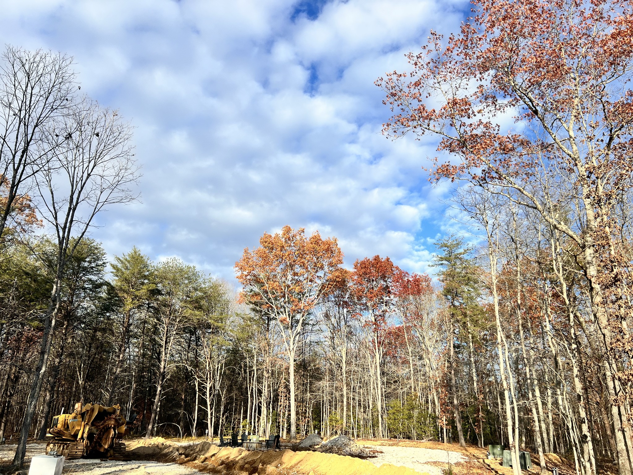 72 Lady Slipper Lane Pelham, TN 37366 - Photo 8 of 41