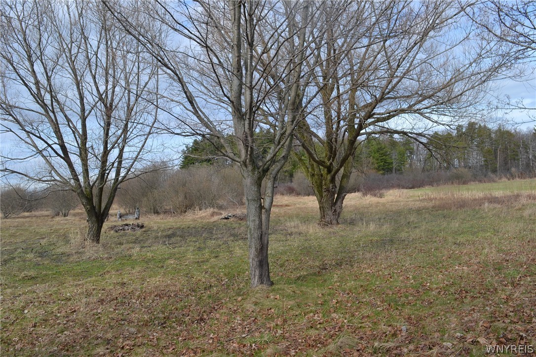 12516 Centerline Road Wales, NY 14139 - Photo 7 of 25