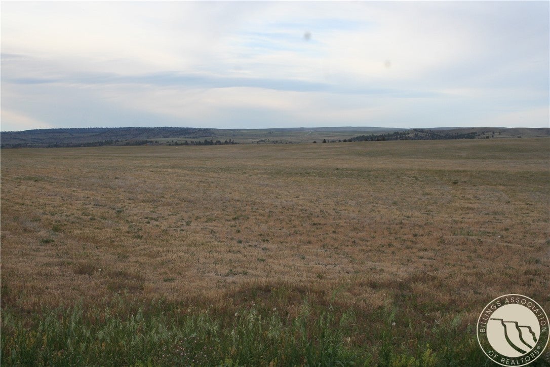0 Joliet Road Columbus, MT 59019 - Photo 8 of 19 Gallery Image 8