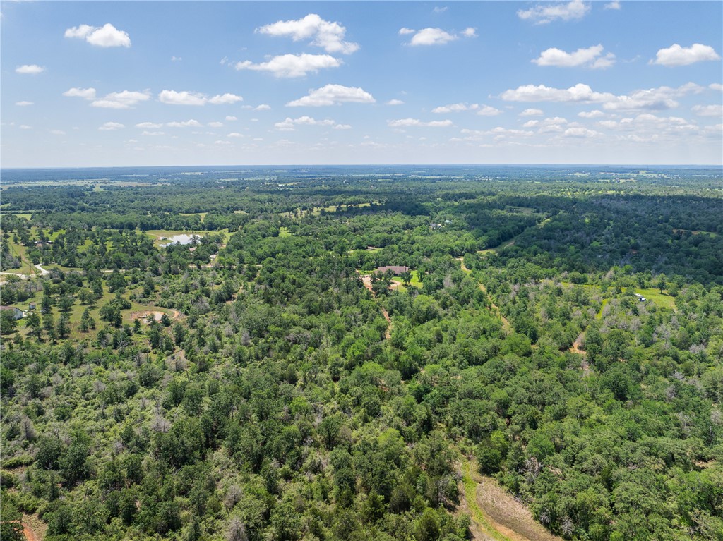 1306 22 Hills Road Gause, TX 77857 - Photo 46 of 50 Gallery Image 46