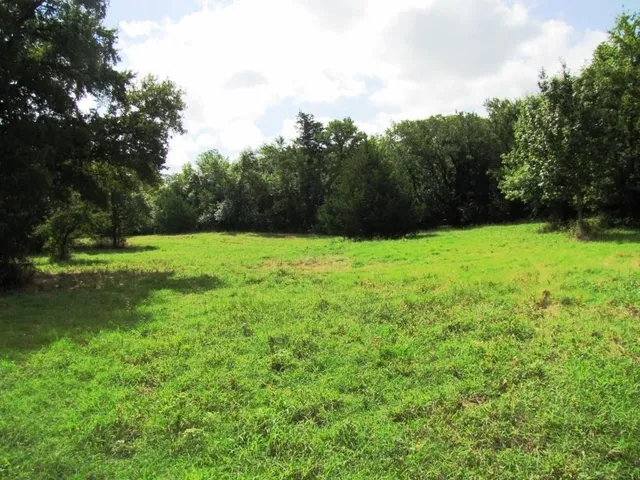 a backyard of a house with lots of green space