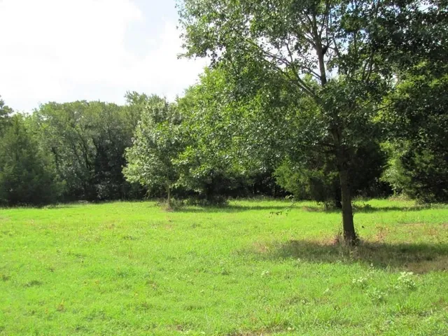 a view of field with trees in the background