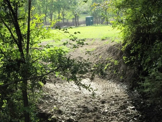 a view of a yard with large trees
