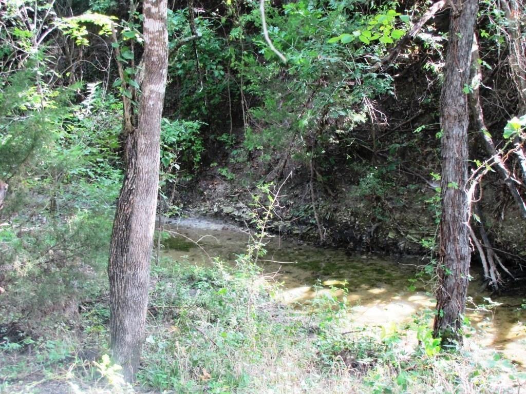 14550 Highway 78 Blue Ridge, TX 75424 - Photo 19 of 37 a view of forest