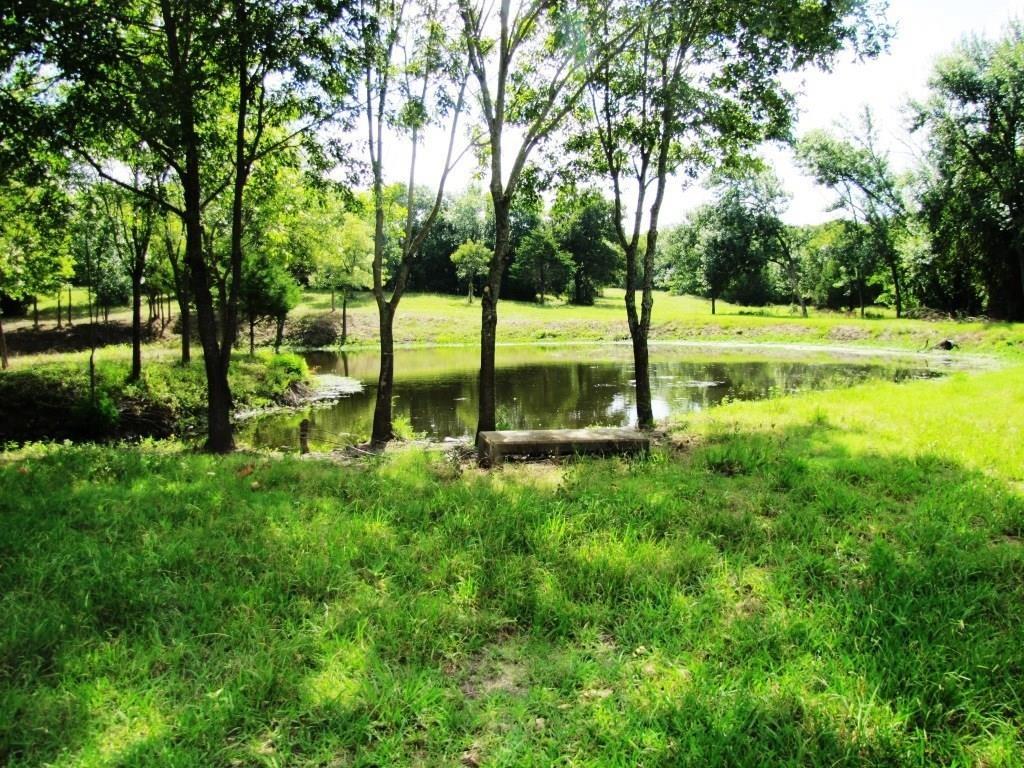 14550 Highway 78 Blue Ridge, TX 75424 - Photo 21 of 37 a view of a park with a tree
