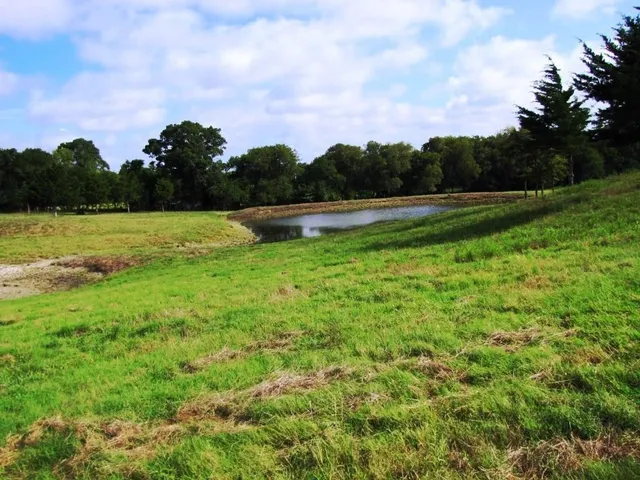 a view of an outdoor space and a yard