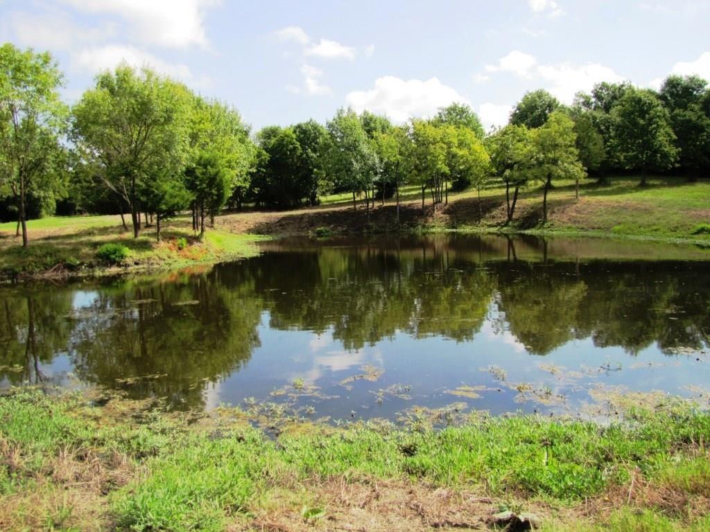 14550 Highway 78 Blue Ridge, TX 75424 - Photo 25 of 37 a view of a lake