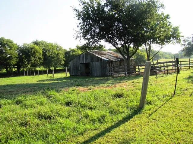 a view of a backyard with a small cabin