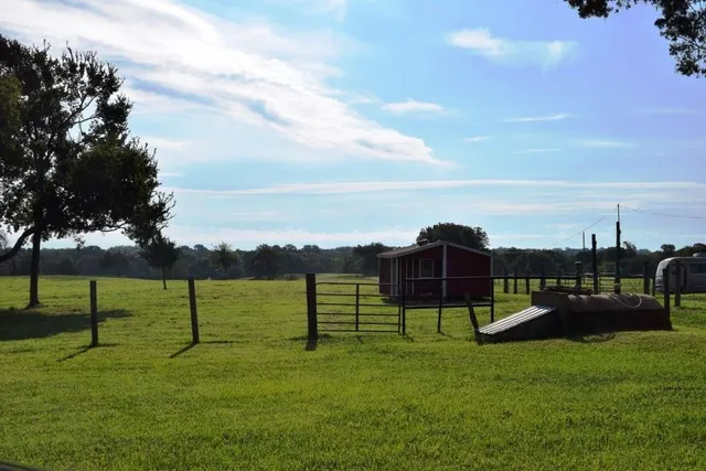 a view of a garden with a bench in front of the house