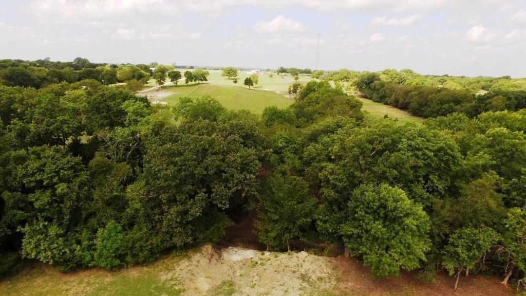 14550 Highway 78 Blue Ridge, TX 75424 - Photo 35 of 37 a view of a yard with a tree