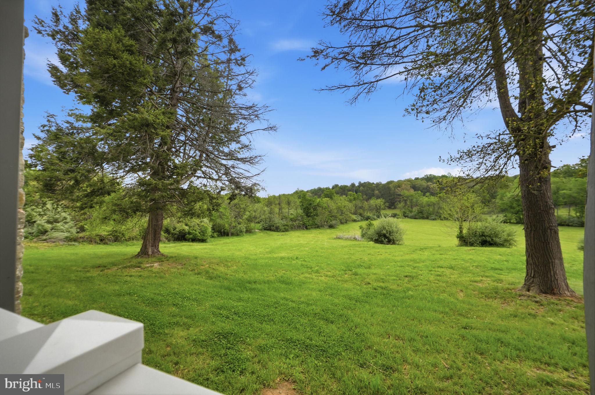 15371 Sheads Mountain Road Rixeyville, VA 22737 - Photo 4 of 64
