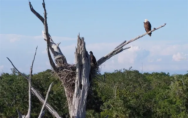 $1,650 | 9940 Eagles Point Circle, Unit 4, Port Richey, FL 34668