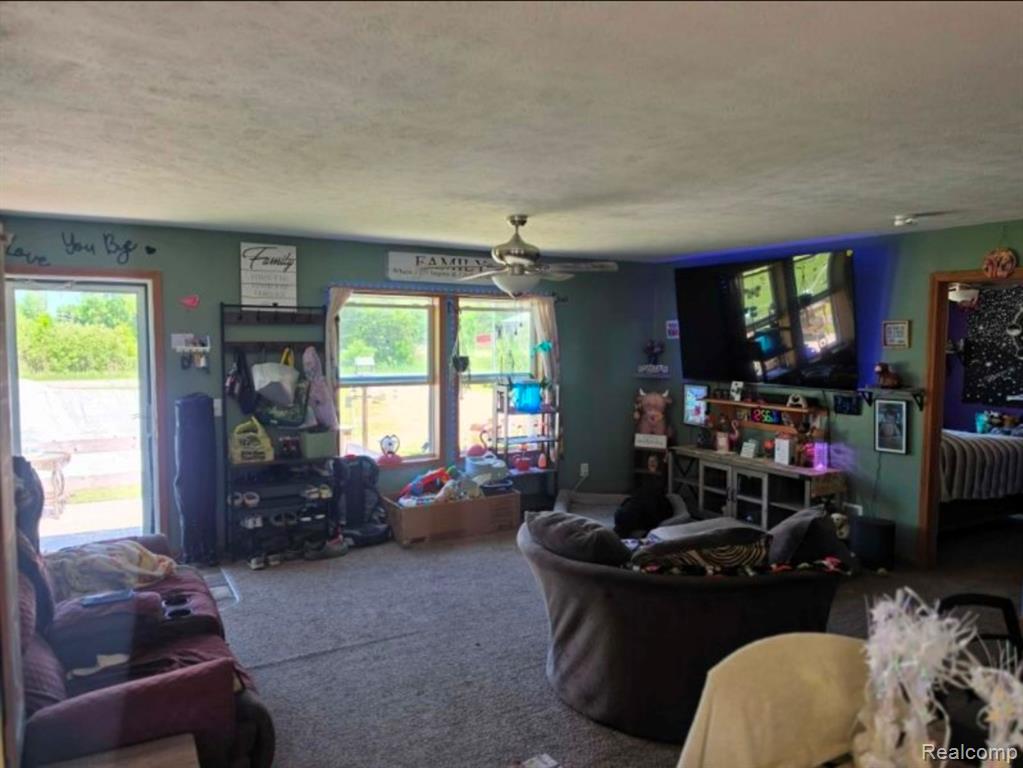 20 East Mier Road Sanford, MI 48657 - Photo 11 of 19
