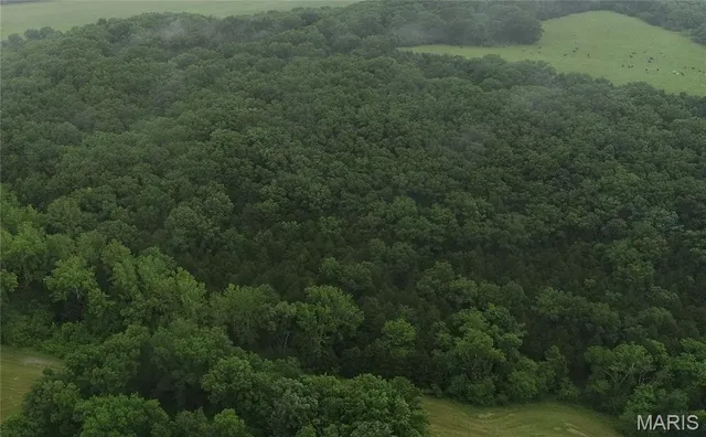 $1,000,000 | 16288 Maries Road 303, Vienna, MO 65582