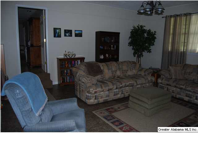 701 Truss Ferry Road Pell City, AL 35128 - Photo 15 of 18