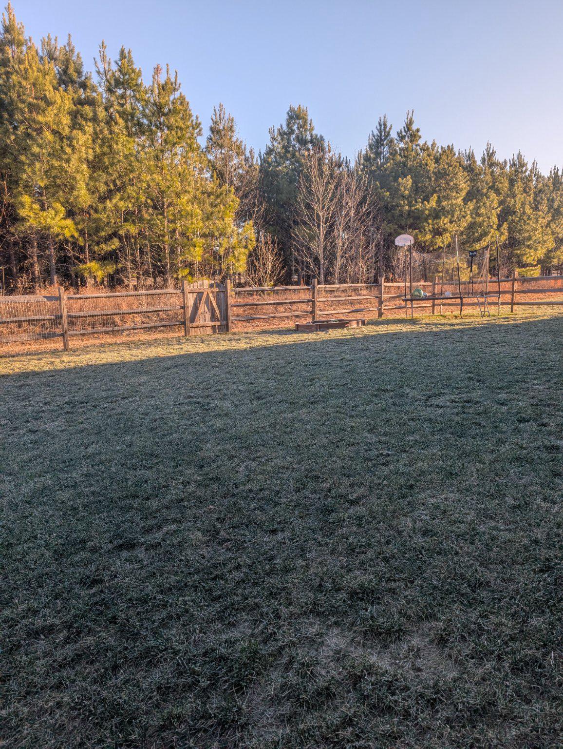 6371 Pointer Lane King George, VA 22485 - Photo 38 of 38 a view of outdoor space with trees all around