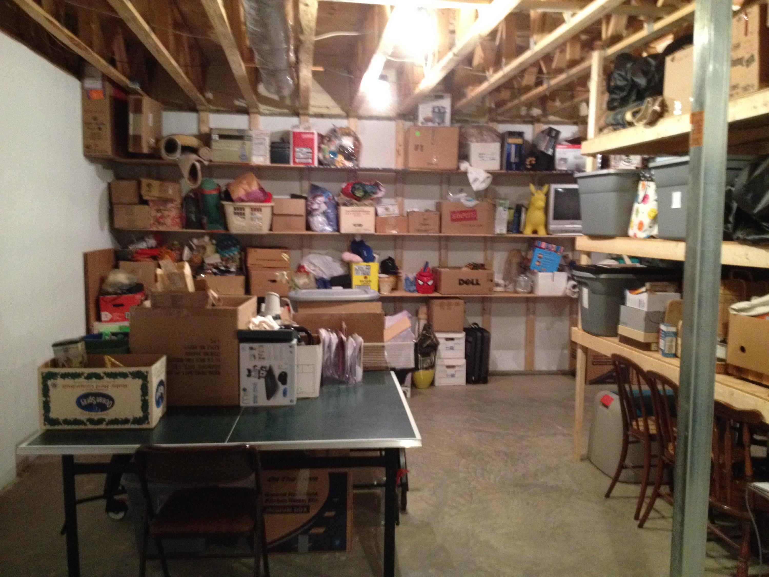 775 Farmers Road Fincastle, VA 24090 - Photo 43 of 65 Farmers Basement2.JPG