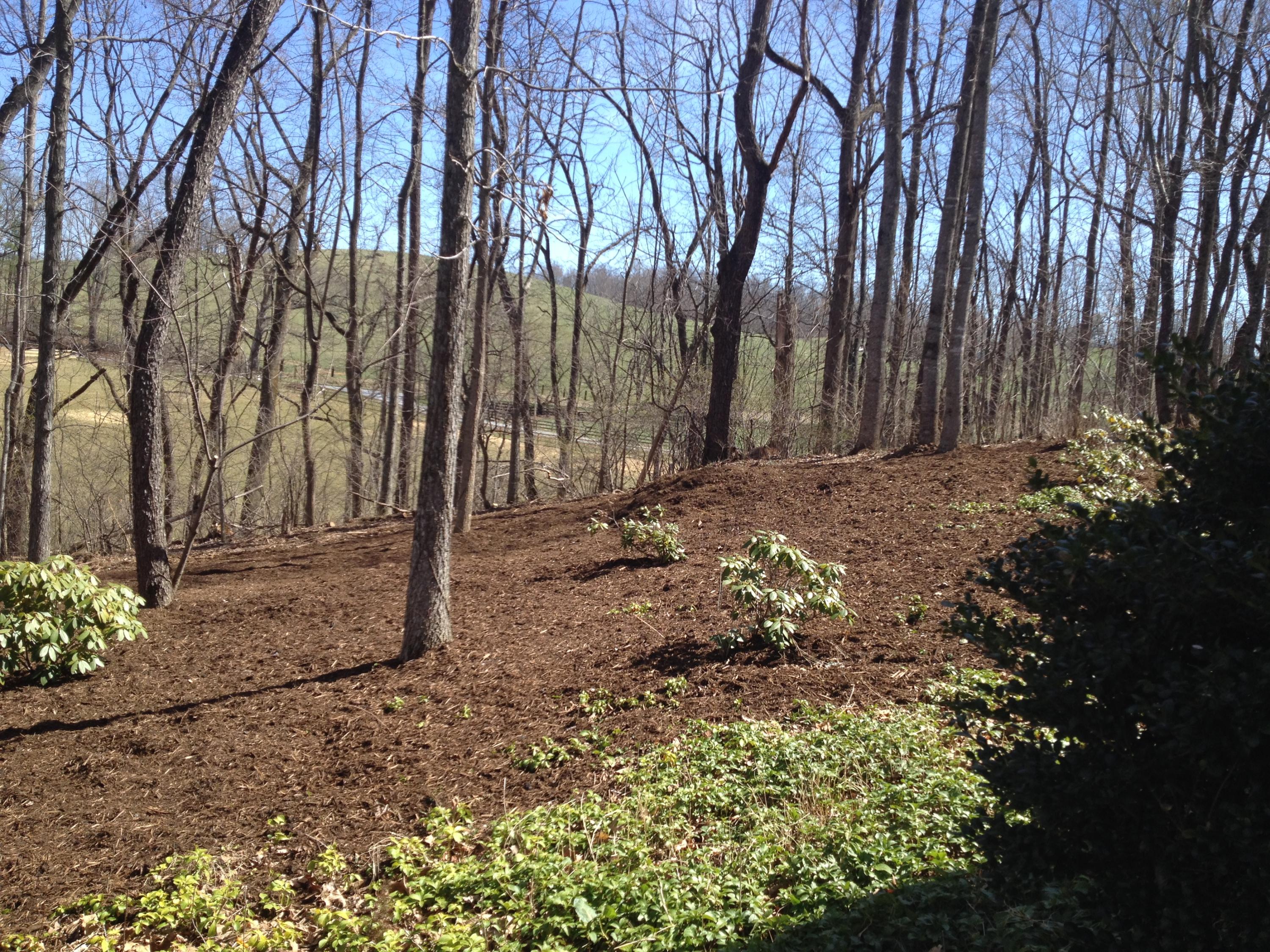 775 Farmers Road Fincastle, VA 24090 - Photo 52 of 65 Farmers exterior1.JPG