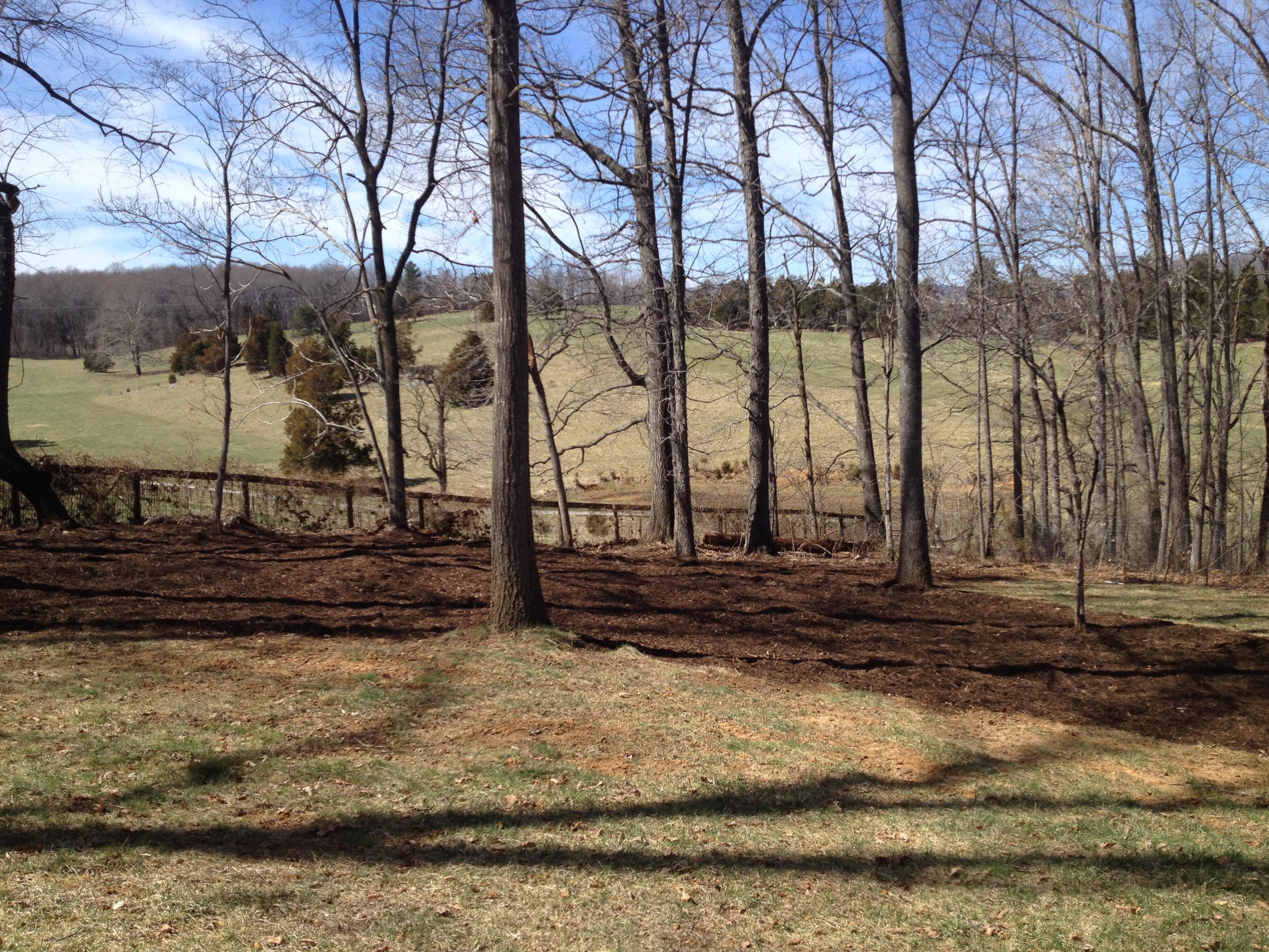 775 Farmers Road Fincastle, VA 24090 - Photo 54 of 65 Farmers Exterior4.JPG