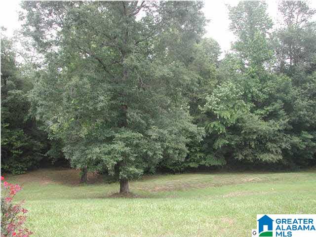 1115 Marvel Road Brierfield, AL 35035 - Photo 7 of 7