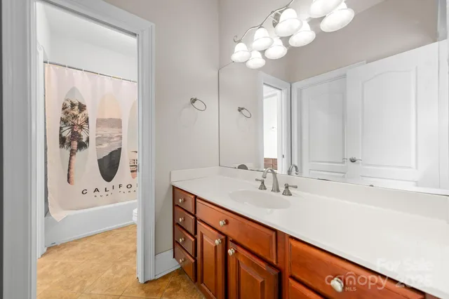 a bathroom with a sink a mirror and a bathtub with shower