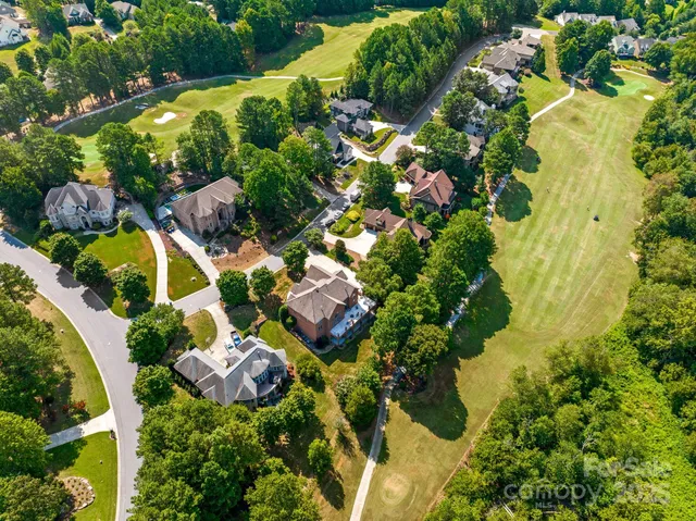 a picture of flowers