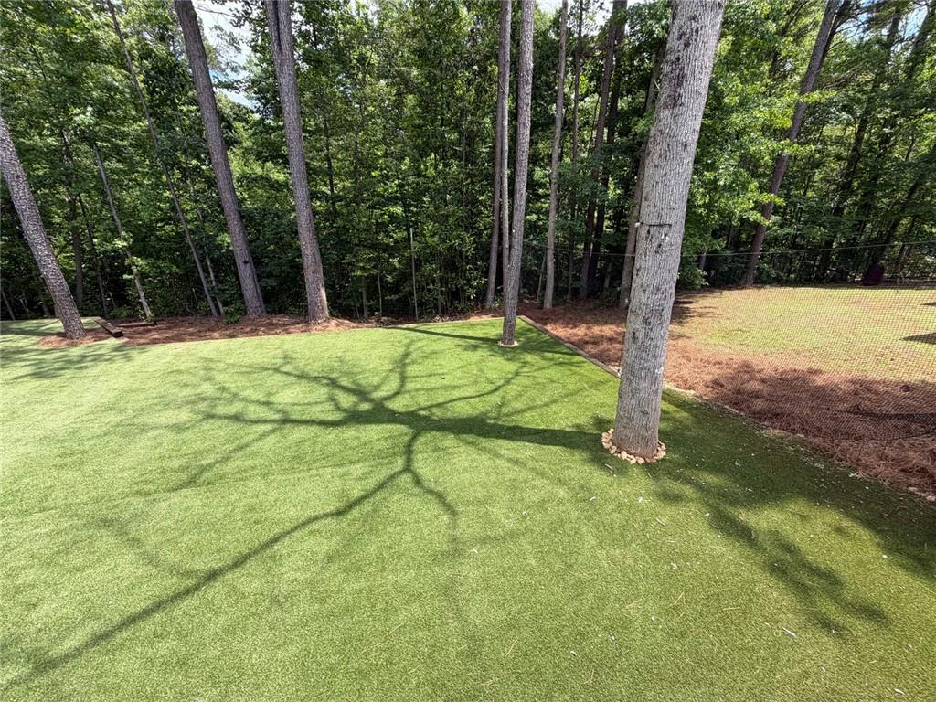 163 Rias Way Bremen, GA 30110 - Photo 17 of 20