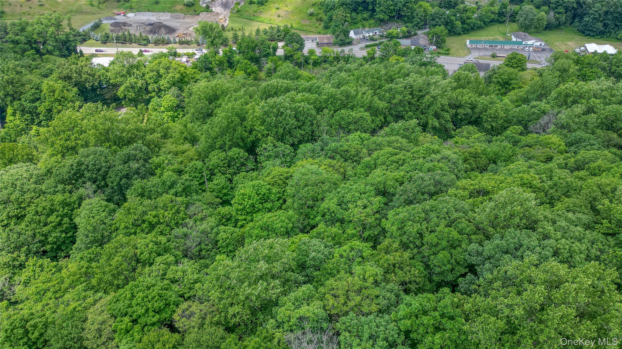 3541 Highway 9 Cold Spring, NY 10516 - Photo 4 of 10