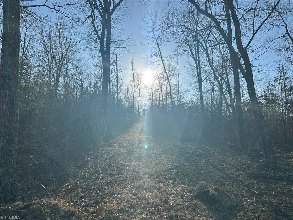 2117 Slate Mine Road Denton, NC 27239 - Photo 13 of 46 Gallery Image 13