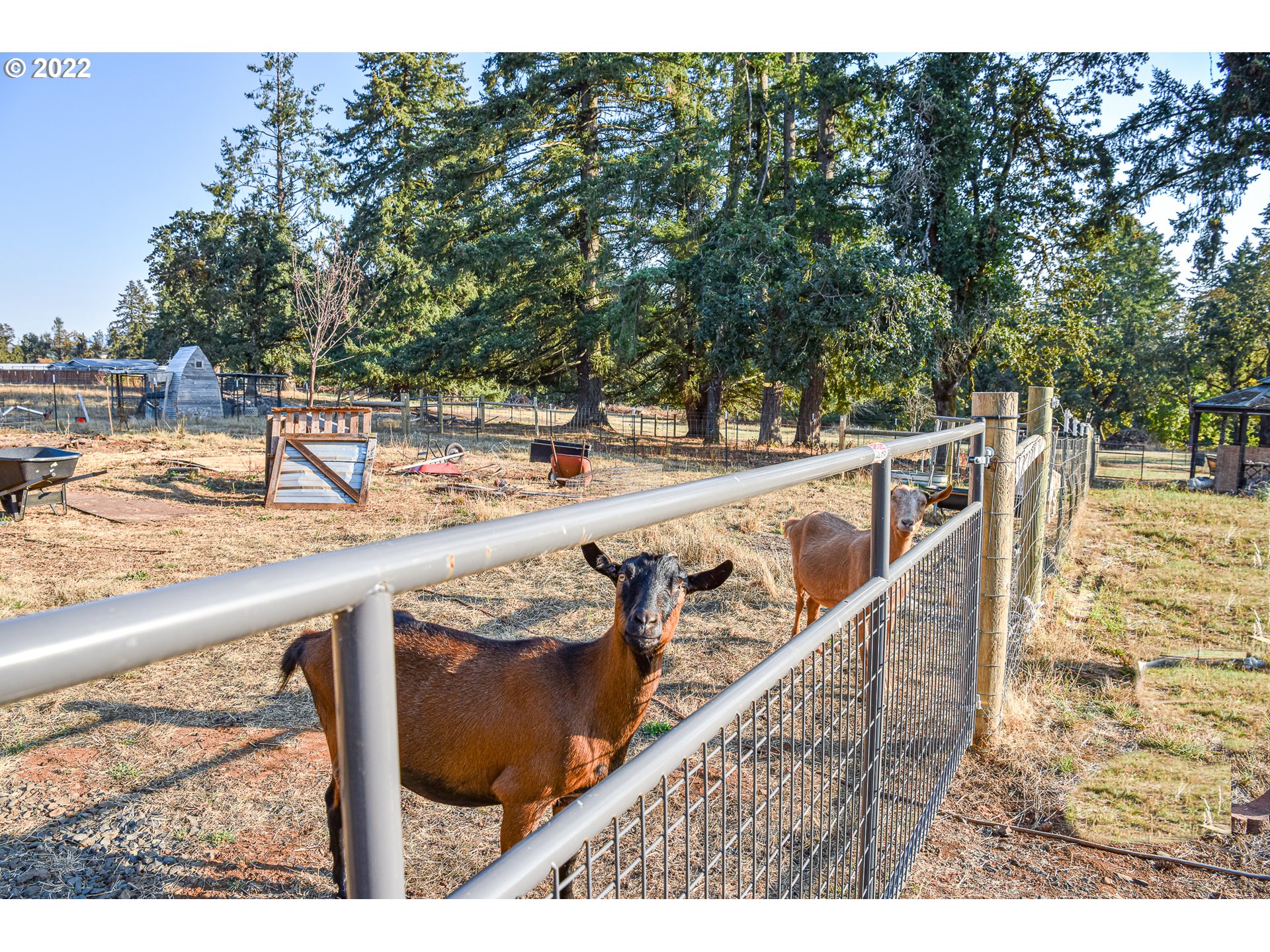 40007 Cole School Road Scio, OR 97374 - Photo 23 of 23 Gallery Image 23