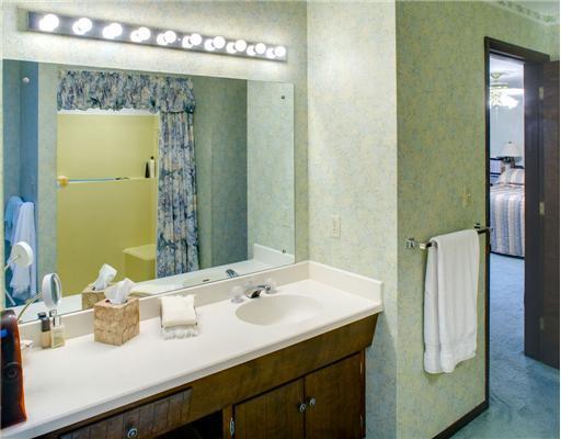 120 Edgecliff Road Rosslyn Farms, PA 15106 - Photo 14 of 18 Master Bath/Spa.