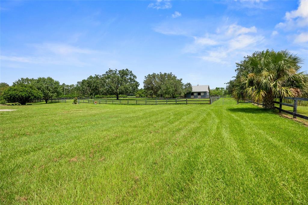 25 Southeast 69th Place Ocala, FL 34480 - Photo 46 of 52 a view of a grassy field with trees