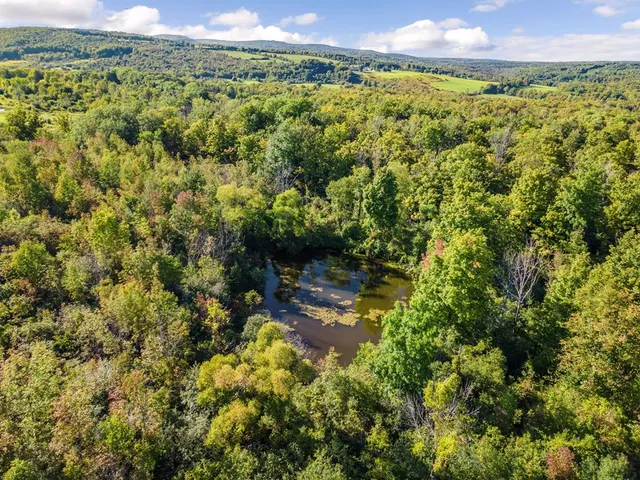 $138,500 | 0 Townsend Road, Watkins Glen, NY 14891