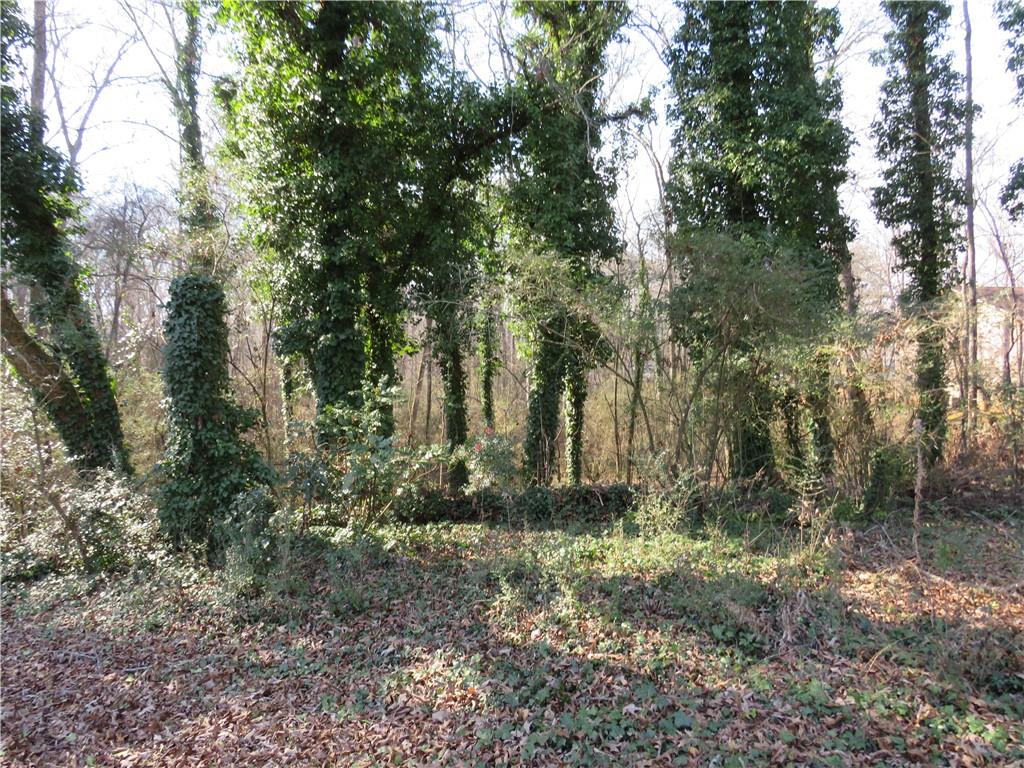 217 Cherokee Circle Cedartown, GA 30125 - Photo 7 of 25 a view of backyard