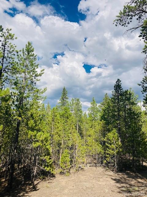 199 Cedar Drive Twin Lakes, CO 80461 - Photo 11 of 20 a aerial view of a houses with yard