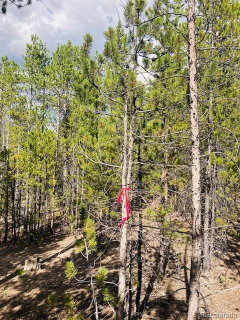 199 Cedar Drive Twin Lakes, CO 80461 - Photo 15 of 20 a view of a pathway of a building