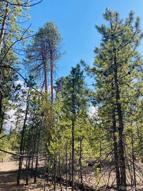199 Cedar Drive Twin Lakes, CO 80461 - Photo 16 of 20 a view of a city with lush green forest