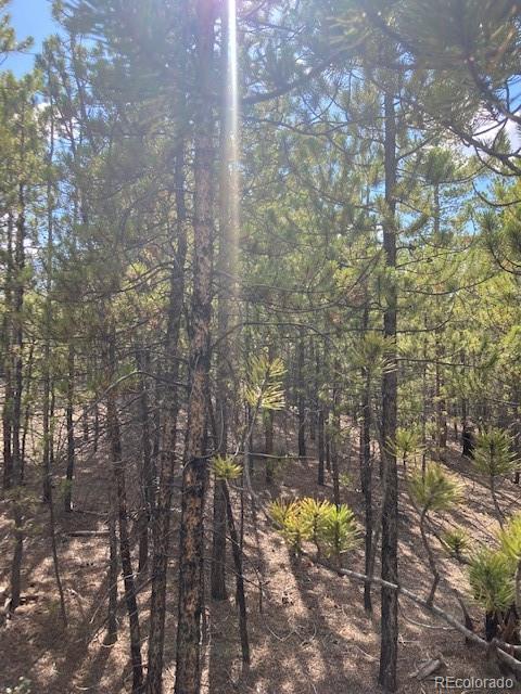 199 Cedar Drive Twin Lakes, CO 80461 - Photo 19 of 20