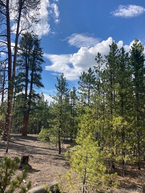 199 Cedar Drive Twin Lakes, CO 80461 - Photo 20 of 20 a view of a yard