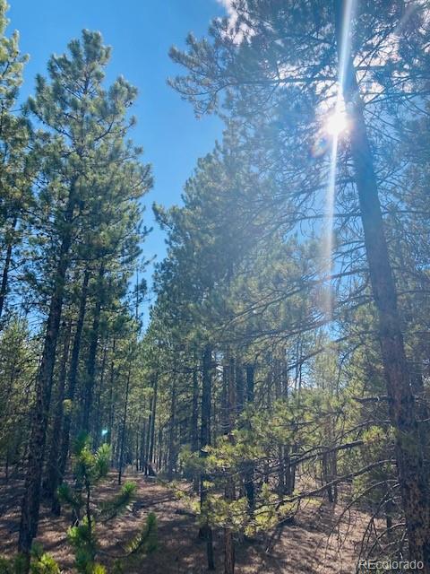 199 Cedar Drive Twin Lakes, CO 80461 - Photo 4 of 20 a backyard of a house with lots of green space