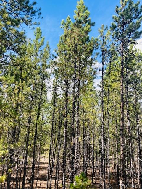 199 Cedar Drive Twin Lakes, CO 80461 - Photo 5 of 20 a view of a city