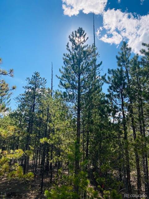 199 Cedar Drive Twin Lakes, CO 80461 - Photo 9 of 20