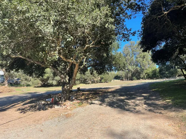 a view of dirt yard with a large tree