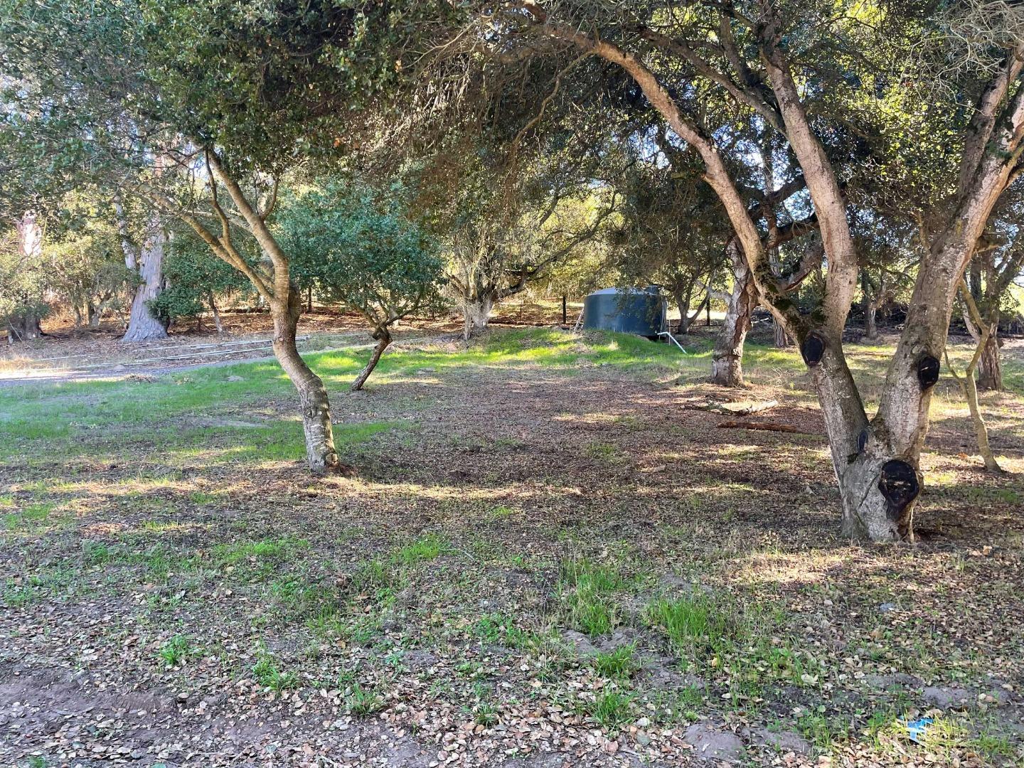 319 Echo Valley Road Salinas, CA 93907 - Photo 8 of 11 a view of a tree in the middle of a yard