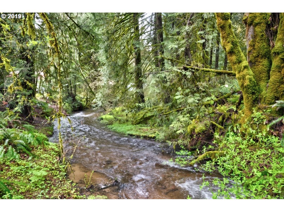 65333 East Barlow Trail Road Rhododendron, OR 97049 - Photo 3 of 31 a view of a yard